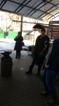 IMG-20181129-WA0059